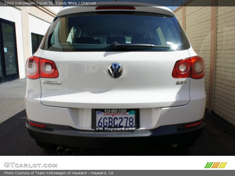 Candy White / Charcoal 2009 Volkswagen Tiguan SE