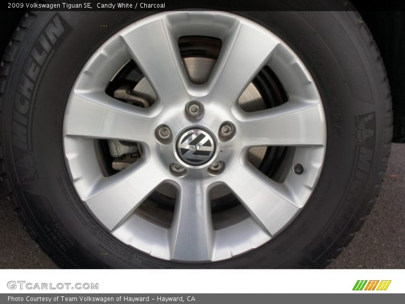Candy White / Charcoal 2009 Volkswagen Tiguan SE