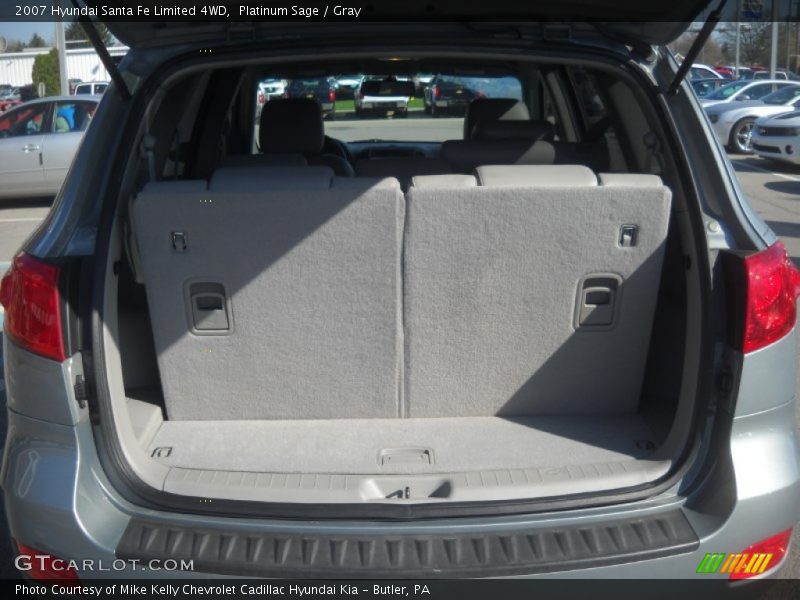 Platinum Sage / Gray 2007 Hyundai Santa Fe Limited 4WD