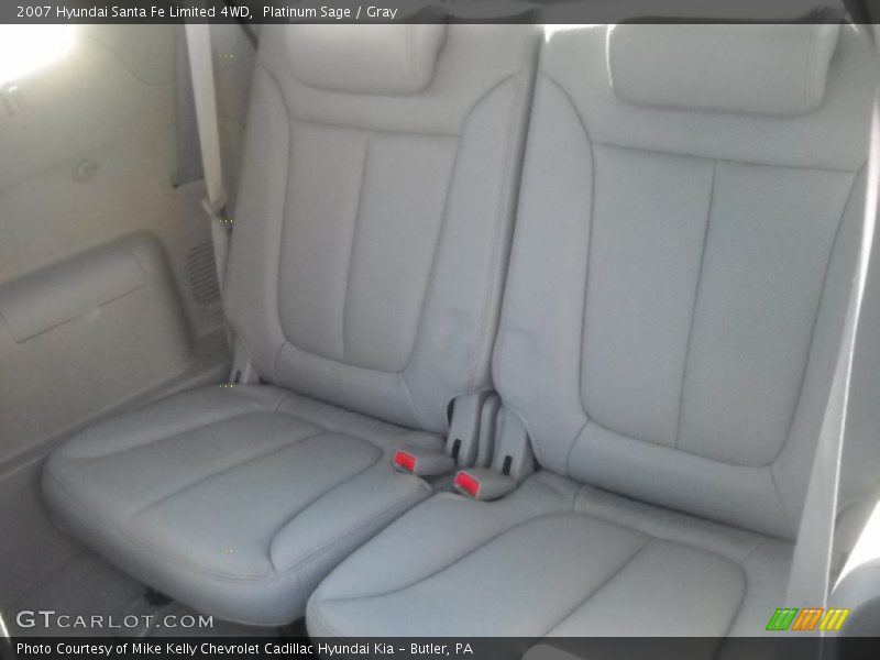 Platinum Sage / Gray 2007 Hyundai Santa Fe Limited 4WD