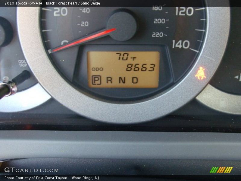 Black Forest Pearl / Sand Beige 2010 Toyota RAV4 I4