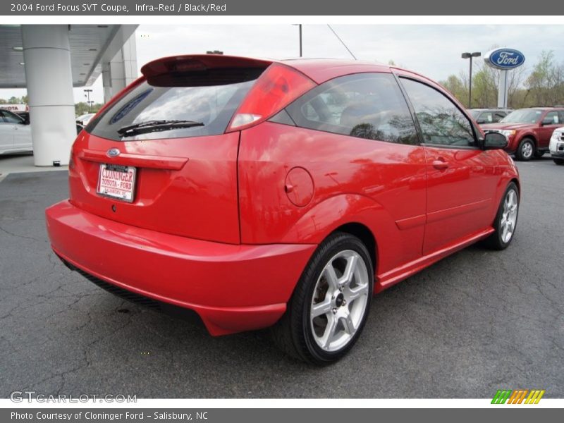 Infra-Red / Black/Red 2004 Ford Focus SVT Coupe