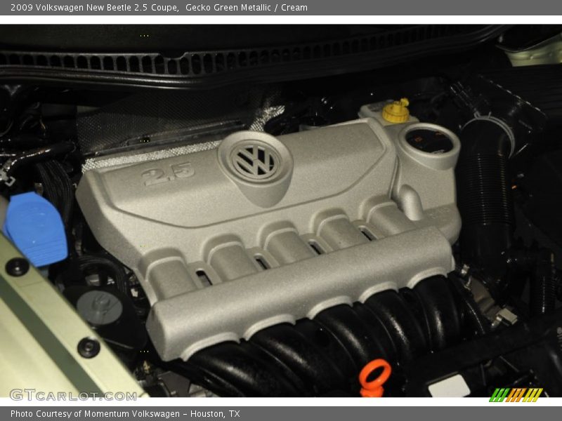 Gecko Green Metallic / Cream 2009 Volkswagen New Beetle 2.5 Coupe