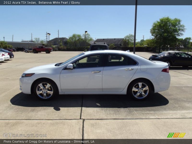 Bellanova White Pearl / Ebony 2012 Acura TSX Sedan