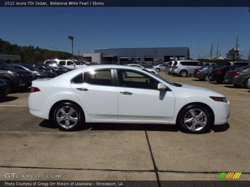 Bellanova White Pearl / Ebony 2012 Acura TSX Sedan