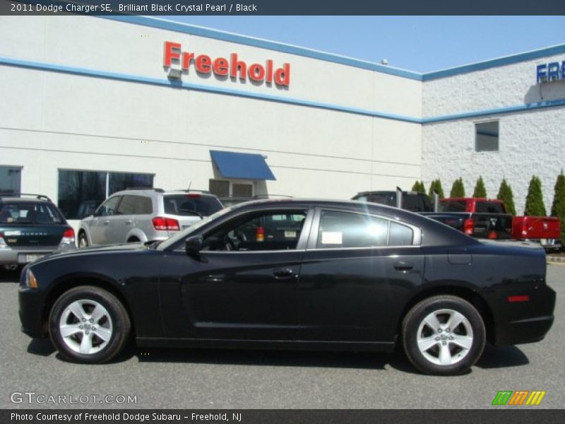 Brilliant Black Crystal Pearl / Black 2011 Dodge Charger SE