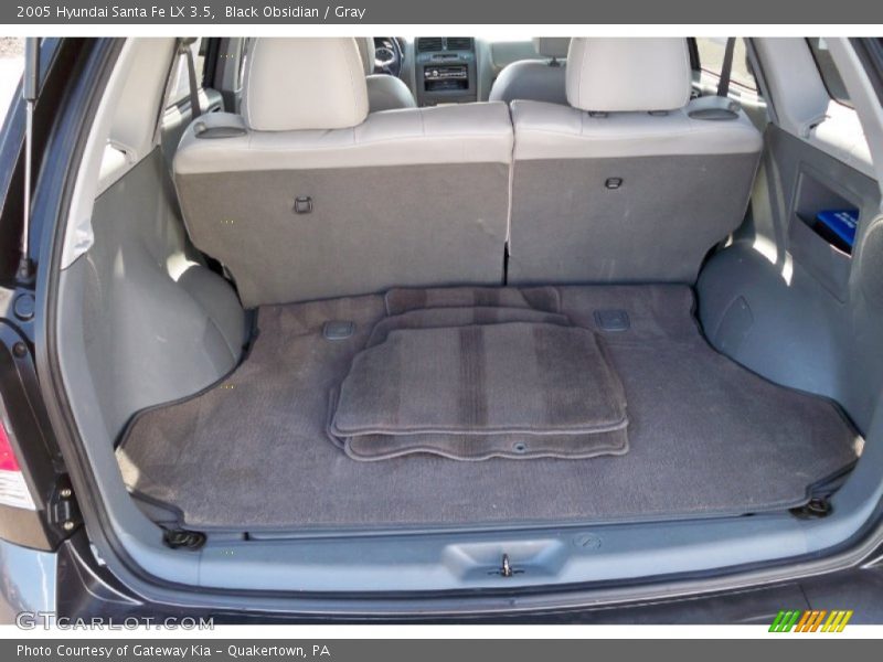 Black Obsidian / Gray 2005 Hyundai Santa Fe LX 3.5