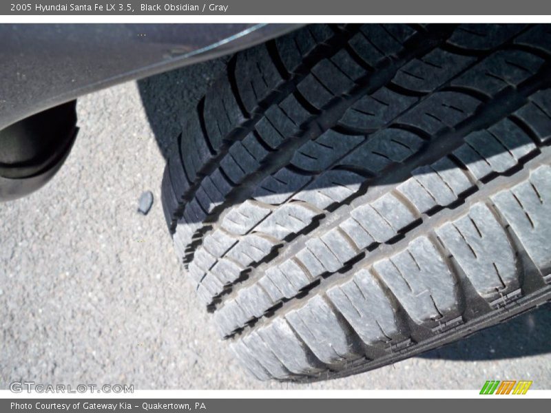 Black Obsidian / Gray 2005 Hyundai Santa Fe LX 3.5