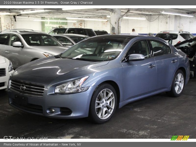 Ocean Gray / Charcoal 2010 Nissan Maxima 3.5 SV Premium