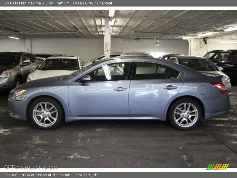 Ocean Gray / Charcoal 2010 Nissan Maxima 3.5 SV Premium