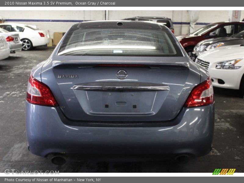 Ocean Gray / Charcoal 2010 Nissan Maxima 3.5 SV Premium