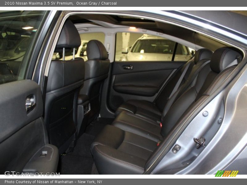 Ocean Gray / Charcoal 2010 Nissan Maxima 3.5 SV Premium