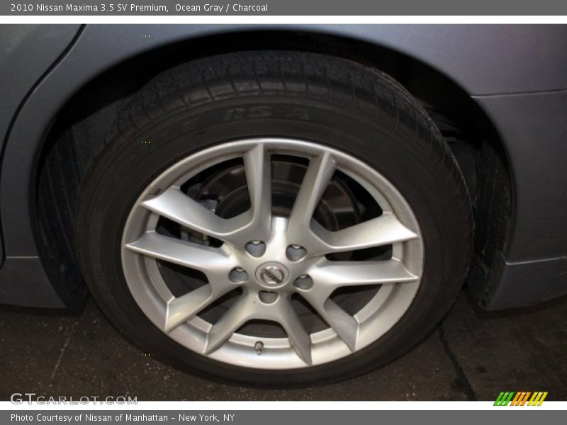 Ocean Gray / Charcoal 2010 Nissan Maxima 3.5 SV Premium