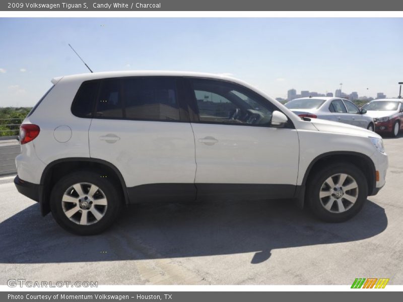 Candy White / Charcoal 2009 Volkswagen Tiguan S