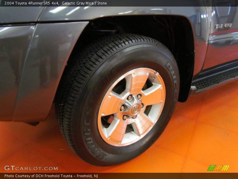 Galactic Gray Mica / Stone 2004 Toyota 4Runner SR5 4x4