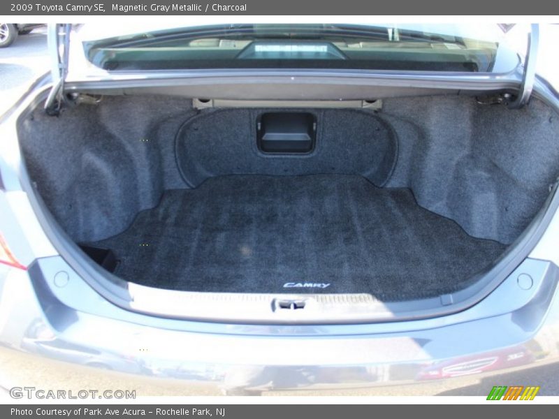 Magnetic Gray Metallic / Charcoal 2009 Toyota Camry SE