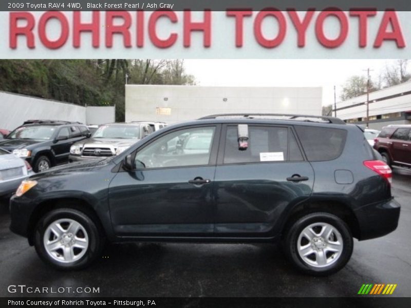 Black Forest Pearl / Ash Gray 2009 Toyota RAV4 4WD