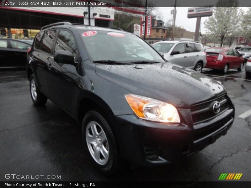 Black Forest Pearl / Ash Gray 2009 Toyota RAV4 4WD