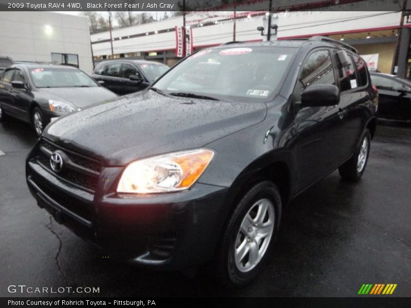 Black Forest Pearl / Ash Gray 2009 Toyota RAV4 4WD