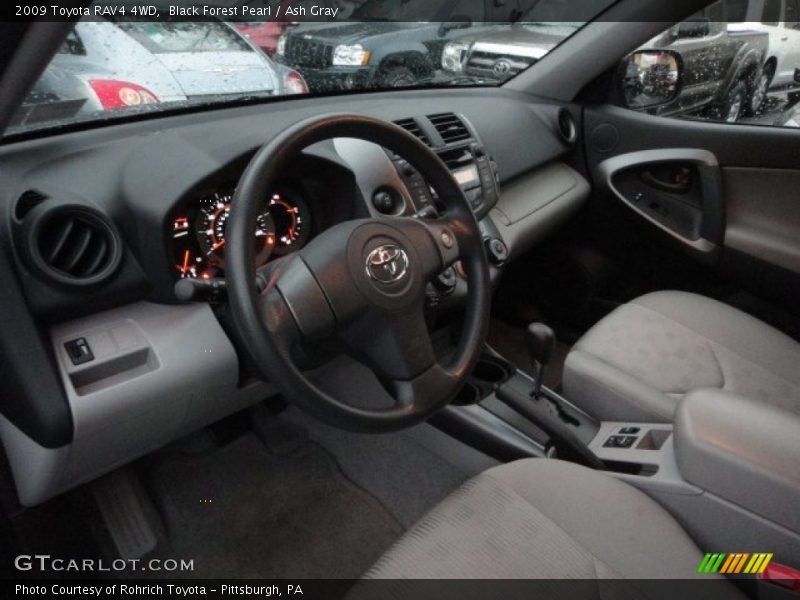 Black Forest Pearl / Ash Gray 2009 Toyota RAV4 4WD