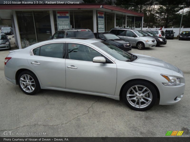 Radiant Silver / Charcoal 2010 Nissan Maxima 3.5 SV