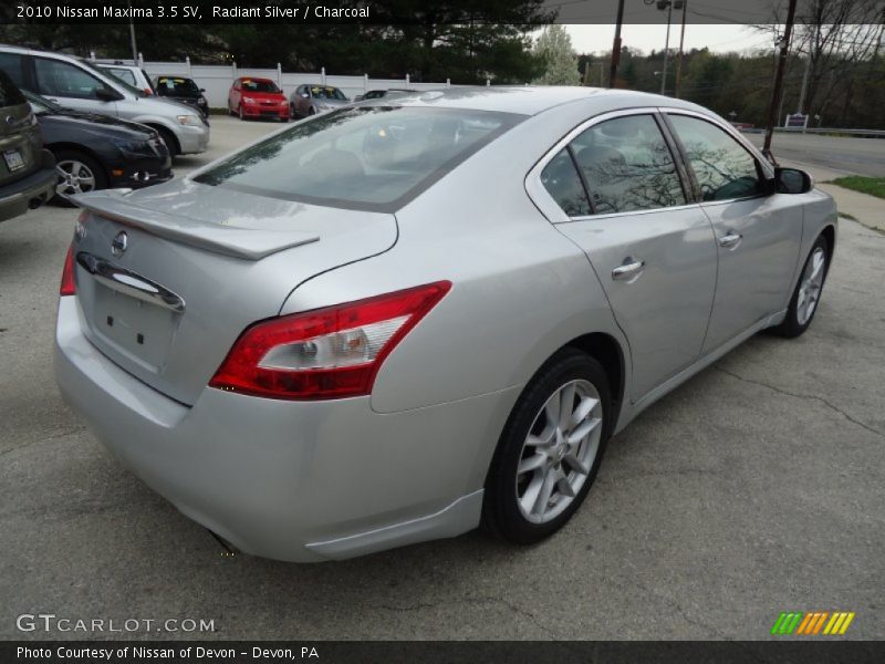 Radiant Silver / Charcoal 2010 Nissan Maxima 3.5 SV