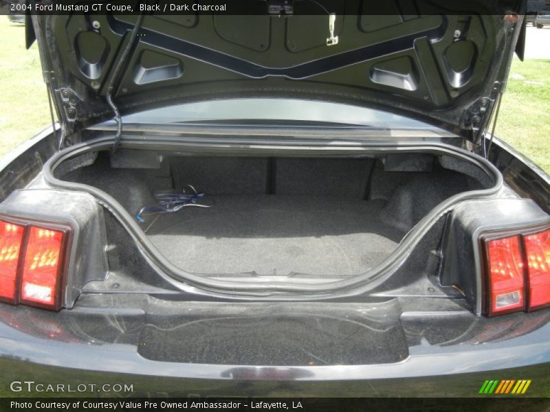 Black / Dark Charcoal 2004 Ford Mustang GT Coupe