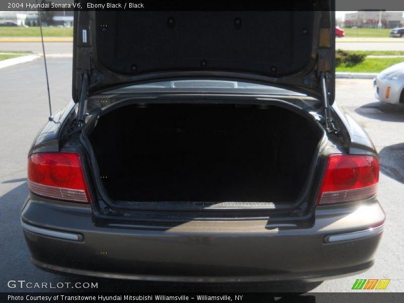 Ebony Black / Black 2004 Hyundai Sonata V6
