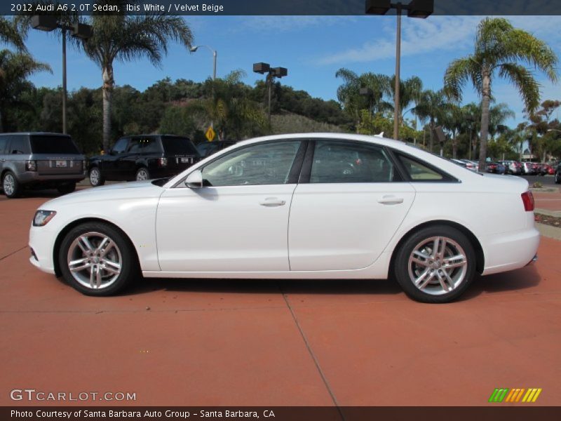  2012 A6 2.0T Sedan Ibis White