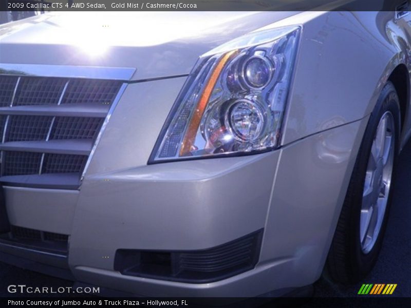 Gold Mist / Cashmere/Cocoa 2009 Cadillac CTS 4 AWD Sedan
