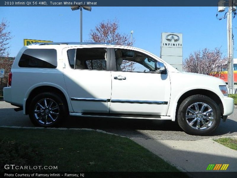 Tuscan White Pearl / Wheat 2010 Infiniti QX 56 4WD