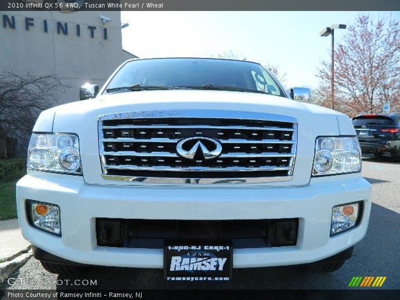 Tuscan White Pearl / Wheat 2010 Infiniti QX 56 4WD