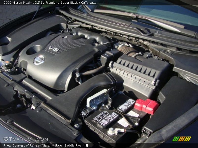 Super Black / Caffe Latte 2009 Nissan Maxima 3.5 SV Premium