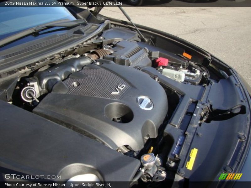 Super Black / Caffe Latte 2009 Nissan Maxima 3.5 SV Premium