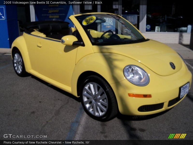 Sunflower Yellow / Black 2008 Volkswagen New Beetle SE Convertible