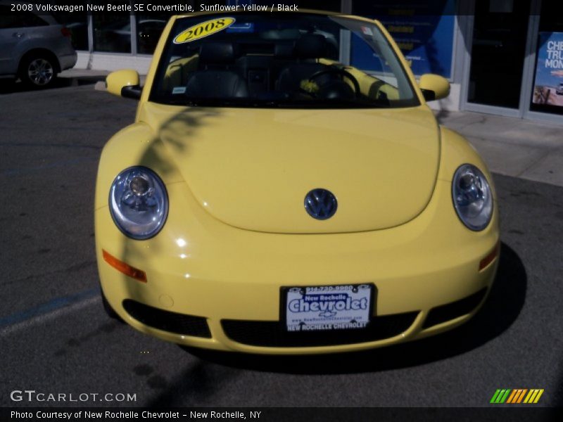 Sunflower Yellow / Black 2008 Volkswagen New Beetle SE Convertible