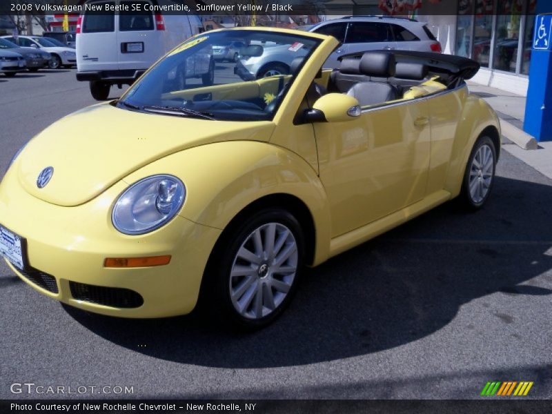 Sunflower Yellow / Black 2008 Volkswagen New Beetle SE Convertible