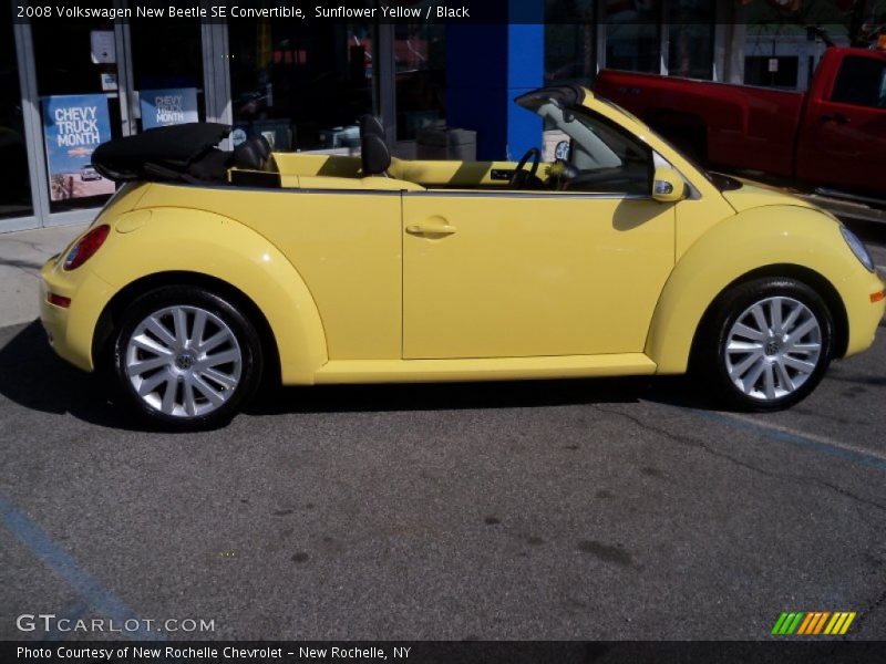 Sunflower Yellow / Black 2008 Volkswagen New Beetle SE Convertible
