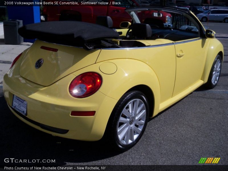 Sunflower Yellow / Black 2008 Volkswagen New Beetle SE Convertible