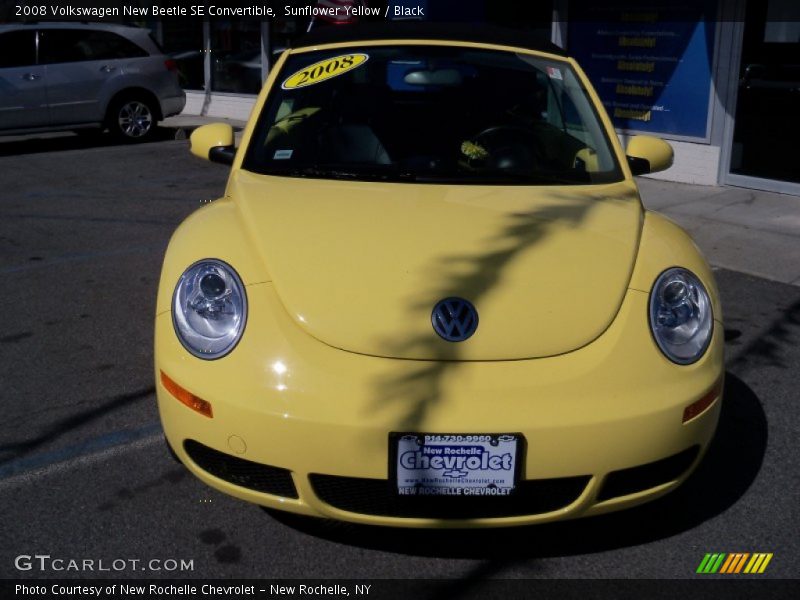 Sunflower Yellow / Black 2008 Volkswagen New Beetle SE Convertible