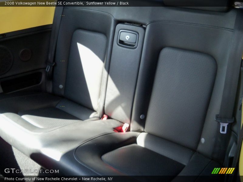 Sunflower Yellow / Black 2008 Volkswagen New Beetle SE Convertible