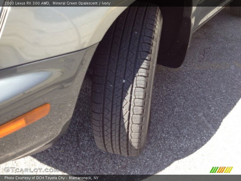 Mineral Green Opalescent / Ivory 2003 Lexus RX 300 AWD