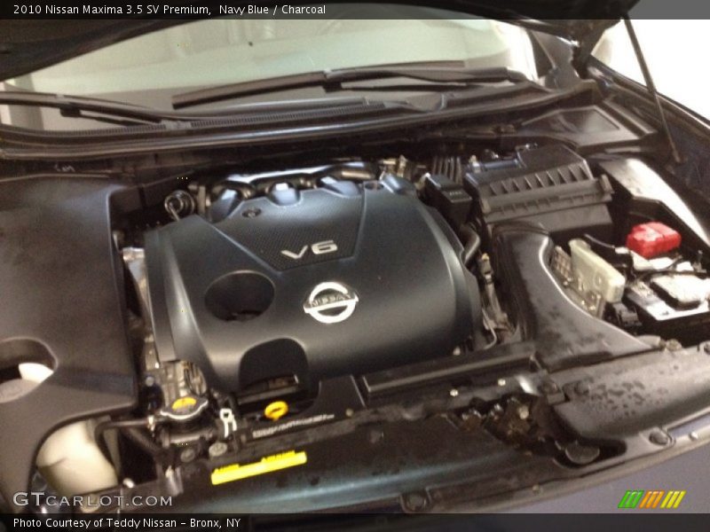 Navy Blue / Charcoal 2010 Nissan Maxima 3.5 SV Premium