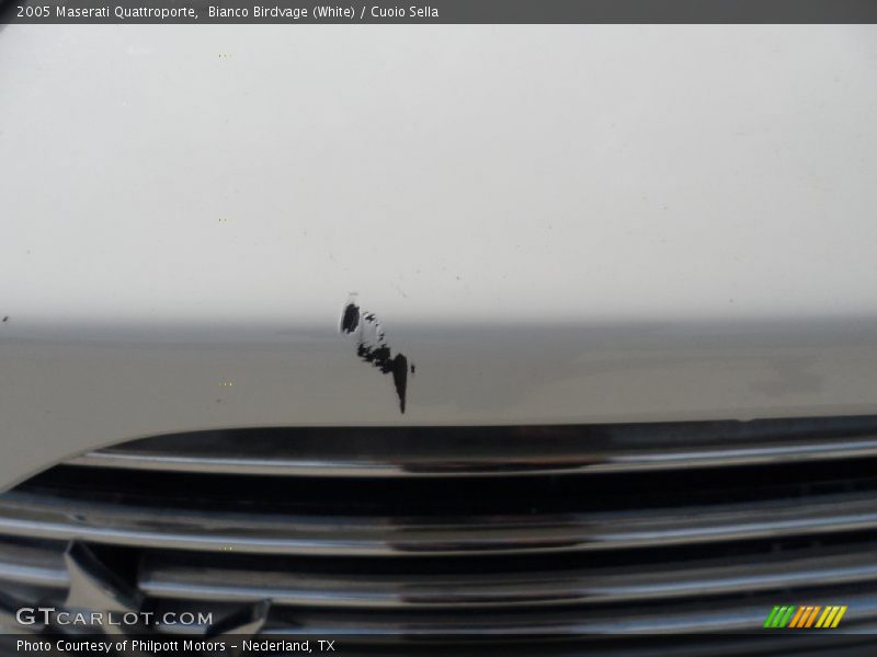 Bianco Birdvage (White) / Cuoio Sella 2005 Maserati Quattroporte