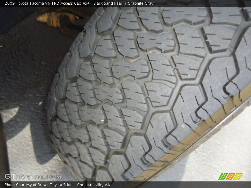 Black Sand Pearl / Graphite Gray 2009 Toyota Tacoma V6 TRD Access Cab 4x4