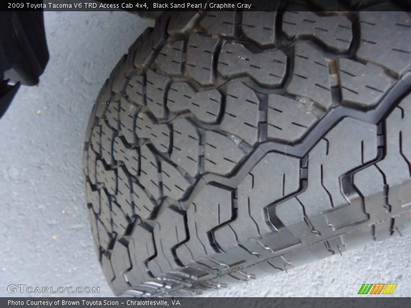 Black Sand Pearl / Graphite Gray 2009 Toyota Tacoma V6 TRD Access Cab 4x4