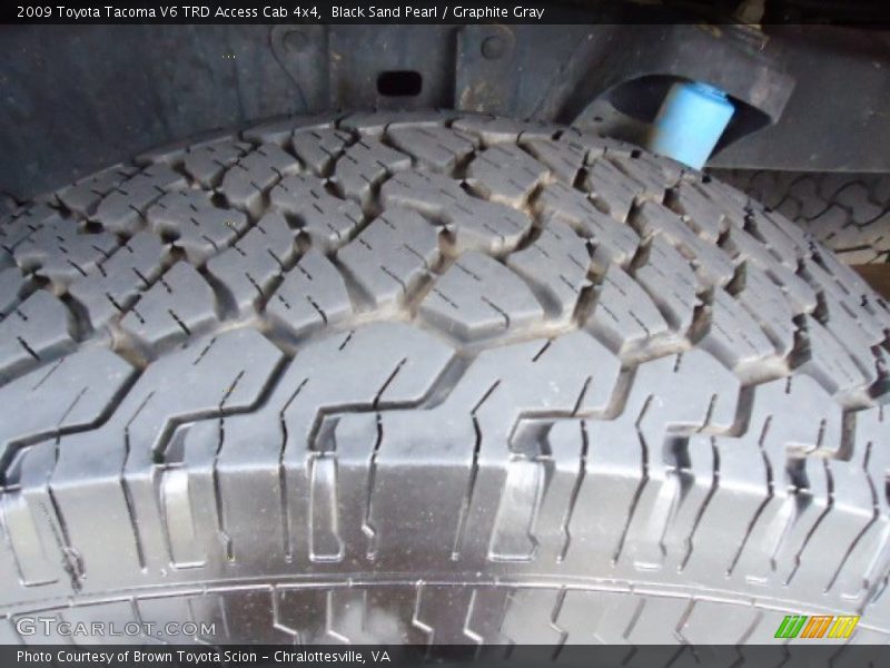 Black Sand Pearl / Graphite Gray 2009 Toyota Tacoma V6 TRD Access Cab 4x4