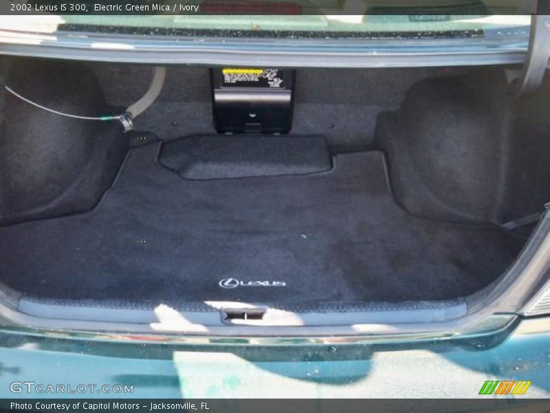 Electric Green Mica / Ivory 2002 Lexus IS 300