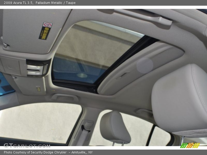 Palladium Metallic / Taupe 2009 Acura TL 3.5