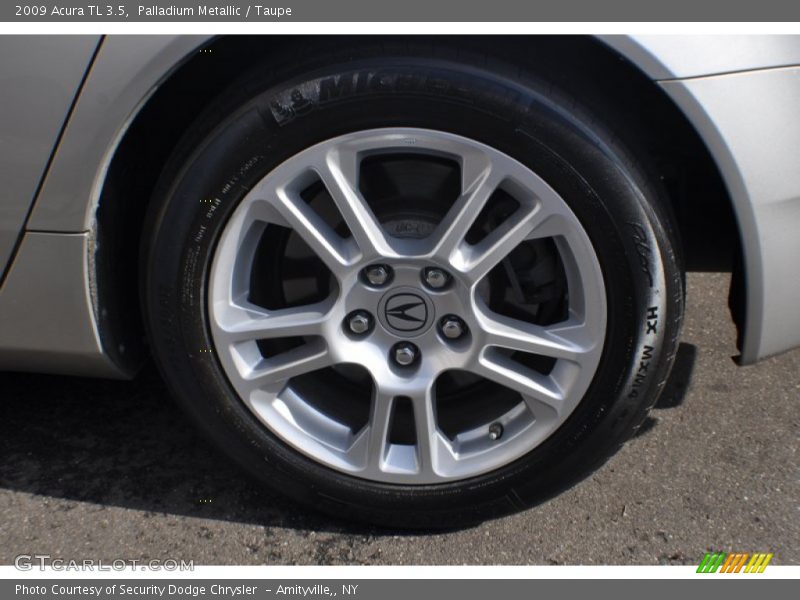 Palladium Metallic / Taupe 2009 Acura TL 3.5